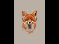 Lo-fi hip hop /Alex production