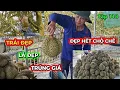 Lagu Tập 118 : TRÁI ĐẸP HẾT CHỖ CHÊ .CHÚC MỪNG CHÚ 3 NĂM NAY TRÚNG MÙA ĐƯỢC GIÁ .
