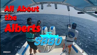 Episode 2 – All about the Alberts