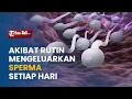 Lagu RUTIN MENGELUARKAN SPERMA SETIAP HARI