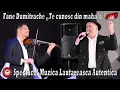 Download Lagu Fane Dumitrache❌Fratii Creasta❌Florica Sandor❌Spectacol❌Muzica Lautareasca Autentica 2022 💯% Live