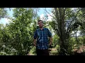 Mark-Recapture with Kiley Briggs