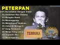 Download Lagu Peterpan Lagu Tahun 2000an | Full Album Peterpan Best Of The Best | Separuh Aku