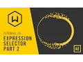 Tutorial 35 Expression Selector Part 2