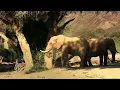 The Giants We Take for Granted: The Incredible World of Trees | Full Documentary