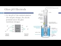 Ion-Selective Electrodes