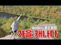 Download Lagu 가을엔 역시 캐나다! 800km 메이플 로드트립