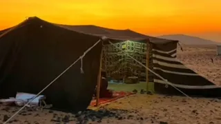 سواليف من الباديه استقال من العسكريه علشان يخطب وحده من عربه الخميس ٥ ١١ ١٤٤٤ 