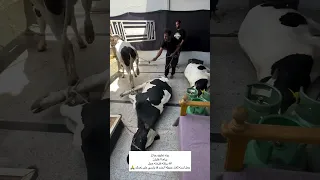 اشتراك بيت رشك هاذا فضل رب العالمين  اشتراك بيت رشك هاذا فضل رب العالمين