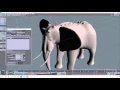 How to Set-Up a Displacement Node in Lightwave 3D