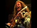 Ted Nugent Live Wang dang sweet pontang