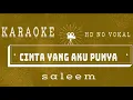 Download Lagu Cinta Yang Aku Punya || Saleem || Karaoke HD No Vokal Suara Jernih
