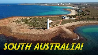 South Australia Dive Expedition | BLUE WORLD DOCUMENTARY
