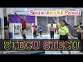 Download Lagu Senam aerobik untuk pemula Dj STECU STECU Viral 2025| Dijamin keringat kebyos@LiaMarliaChannel