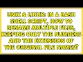 In a bash shell script how to rename multiple files keeping only the numbers and the extension