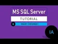 8 SQL INSERT SQL