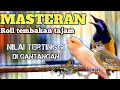 Download Lagu MASTERAN TERLENGKAP UNTUK MURAI BATU || GAMPANG MASUK TERBARU 2025