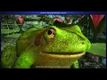 External anatomy of frog Head