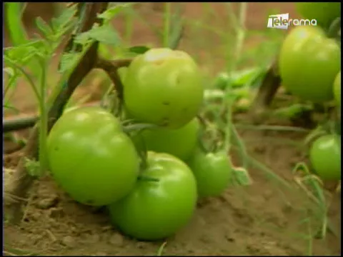 Ecuador Agropecuario 15-03-2018