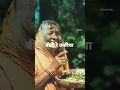 Download Lagu rama rama ratte ratte biti re umariya trending status | sadho band |#ramram #jayshreeram #sadhoband