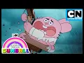 Download Lagu Not all heroes wear capes | The Hero | Gumball | Cartoon Network