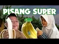 Lagu DARI MANA PISANG SUNPRIDE BERASAL? 🍌 Yuk, Lihat Kebun Pisang di Lampung!