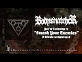 Bodysnatcher - Smash Your Enemies (Hatebreed Cover) [Official Visualizer]