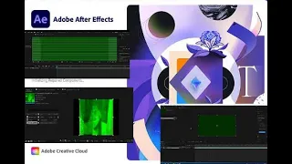 Solved : Imported Files(videos) Turning Green In Abode After Effects - How To Fix  It Easily Done.