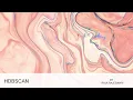 ML Unsupervised Learning Clustering Algorithm How BSCAN Clustering works