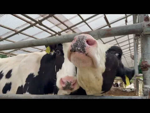 最新iPhoneとジンバルで動画撮影&編集も可能です！