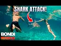 Bondi s Most Dangerous Days 1 Hour Of