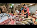 1 000lb Black Marlin Cutting the King of the Ocean in Village Market