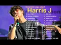 Download Lagu Harris J Best Hits | Rasool'Allah, Paradise, Let Me Breathe | Full Album Islami