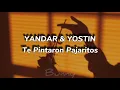 Andy Rivera, Yandar & Yostin - Te Pintaron Pajaritos (Letra/Lyrics)