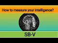 Stanford Binet Intelligence Test Fifth edition