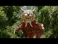 Cienfue - Life in the Tropics