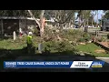 Storms cause damage in Monterey affecting cemetery and power supply