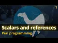 Perl Programming Tutorial VS Code Setup Scalars References and OOP Explained
