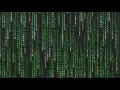 The Matrix - Raining Code Animation No Sound