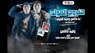 هنروح المولد يادالاس ودينا المولد غناء وليد دالاس توزيع فيجو نمبر وان و احمد بلحه 