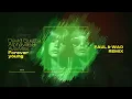 David Guetta, Alphaville & Ava Max - Forever Young (Faul & Wad remix) [Visualizer] - Alphaville, Ava Max & David Guetta