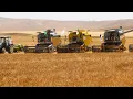 Download Lagu من ولاية الجلفة الوزير يؤكد الن الجزائر حققت الإكتفاء الذاتي في إنتاج القمح الصلب DJELFA FARMS