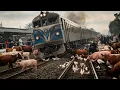 Download Lagu Caught on Camera: Deadly Animal Collisions with Trains – Can We Stop Them?