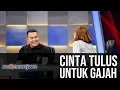 Download Lagu Mata Najwa - Manusia-Manusia Kuat: Cinta Tulus untuk Gajah (Part 6)
