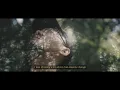 Chihei Hatakeyama with Late Spring (short film)