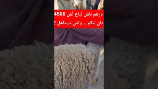                                                         دندنها