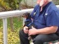 2006 Dachshund Rescue of North America
