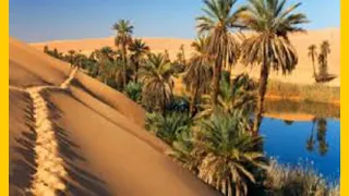 من التراث التونسي بلقاسم بوقنة عندي سبعة سنين 