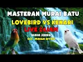 Download Lagu MASTERAN KHUSUS MURAI BATU LOVEBIRD NGEKEK PANJANG VS KENARI ROLL TEMBAK SUARA JERNIH! LIVE 24JAM!