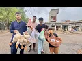 Download Lagu Buying Pet From Every Shop 😍||Challenge vlog ||